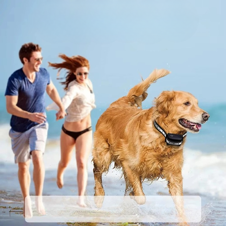 Dog collar with remote control up to 1000m - Finally relaxed walks