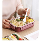Insulated stainless steel lunchbox with bento compartments
