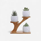 3-tier bamboo plant stand – Tree-shaped display for houseplants