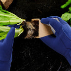 Garden gloves with cowhide reinforcement – Thorn protection