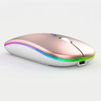 Quiet wireless mouse, Bluetooth 5.2 and USB receiver, rechargeable, RGB
