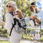 Hundetrage Rucksack mit atmungsaktivem Gewebe