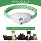 Katzenhalsband mit Laserpointer – Automatisches Spielzeug