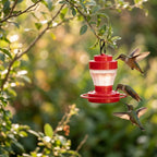 Kolibri-Futterspender mit 8 Futterstellen, Sitzring und Karabinerhaken, 9,8 cm