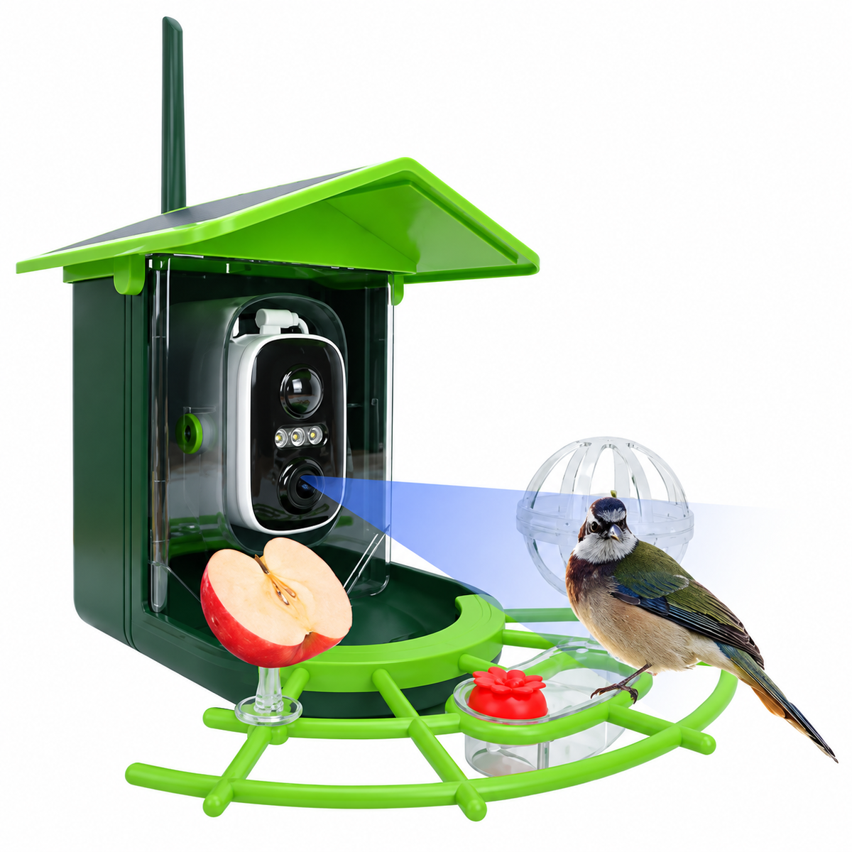 Vogelfutterhaus mit HD-Kamera und Nachtsicht