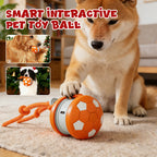 Interaktiver Hundeball mit USB-Aufladung