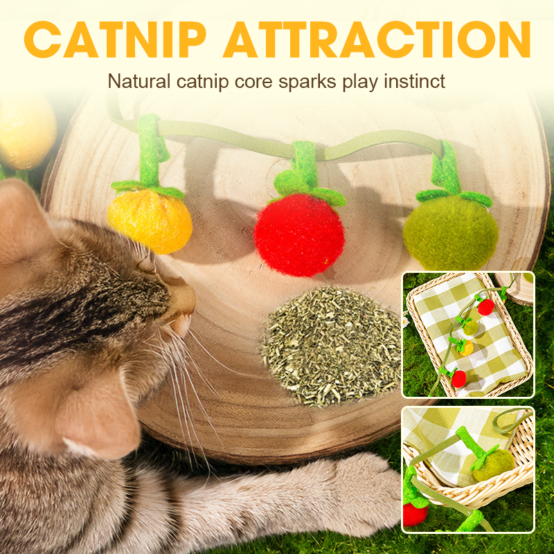 Cat toy string with catnip and bell