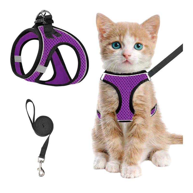Katzengeschirr mit Luftnetz und Reflektoren