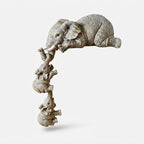 Studio collection image