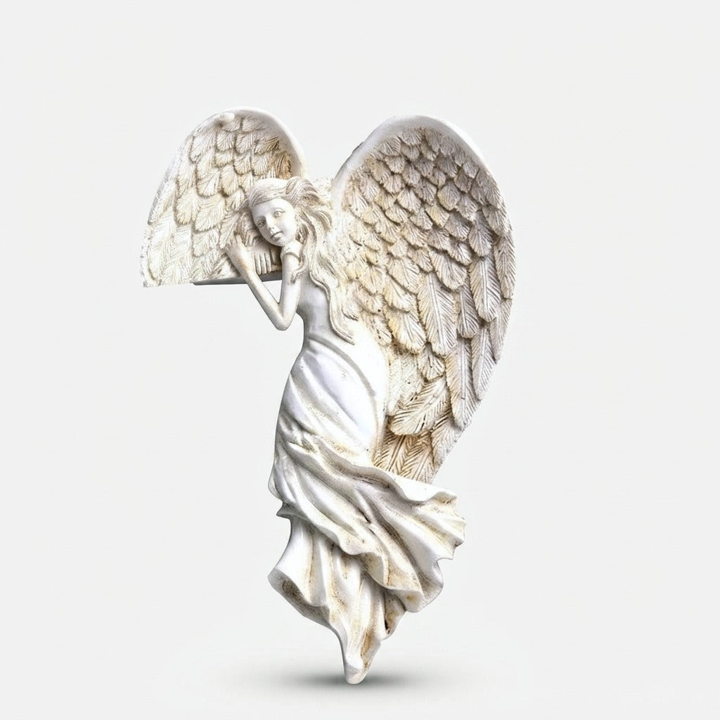 Studio collection image
