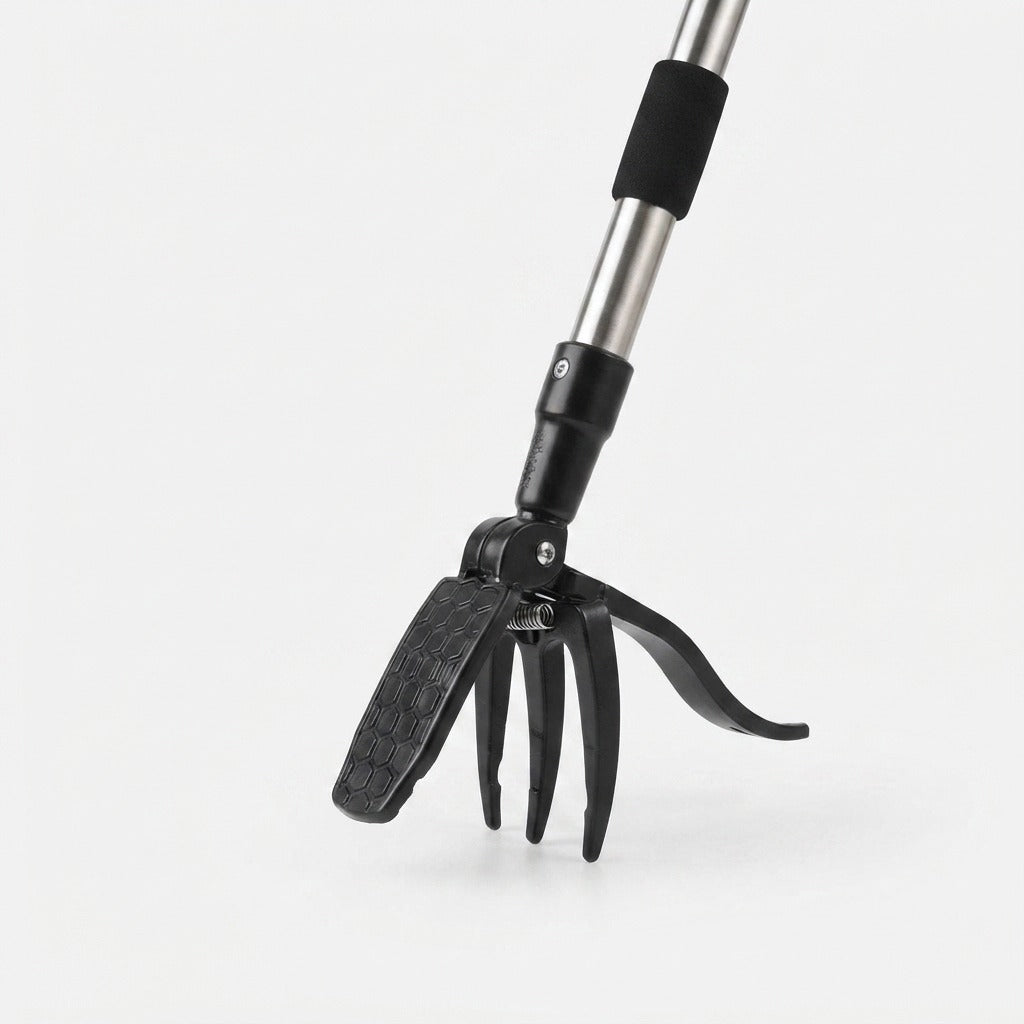 Studio collection image