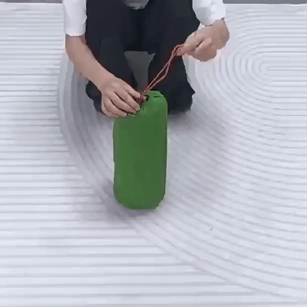 Double inflatable air mattress with pillow and built-in pump