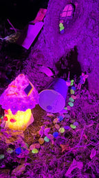 Leuchtende Kieselsteine für Garten und Aquarium