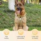 Hundegeschirr Set mit LED-Halsband – Anti-Zieh Design