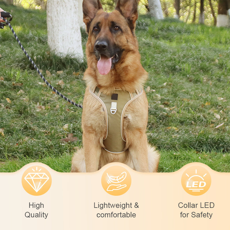 Hundegeschirr Set mit LED-Halsband – Anti-Zieh Design