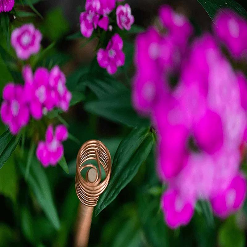 Kupfer-Antennen für Elektrokultur im Garten