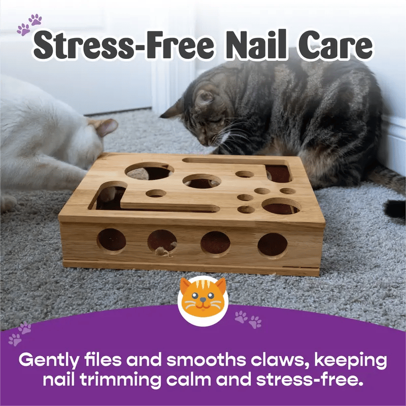 Wooden cat puzzle box – Activity with treats & natural claw care