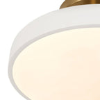 Round LED ceiling light with brass fitting, Ø 30 cm