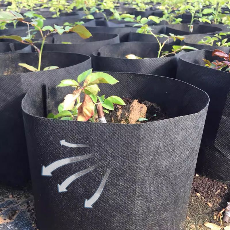 Pflanztaschen aus Filzstoff für Garten und Balkon