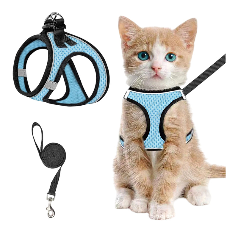 Katzengeschirr mit Luftnetz und Reflektoren