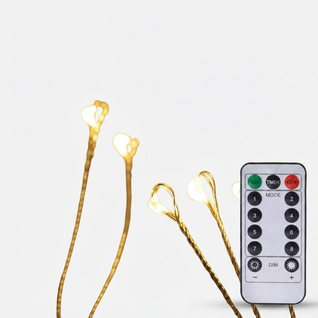 Studio collection image