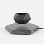 Studio collection image