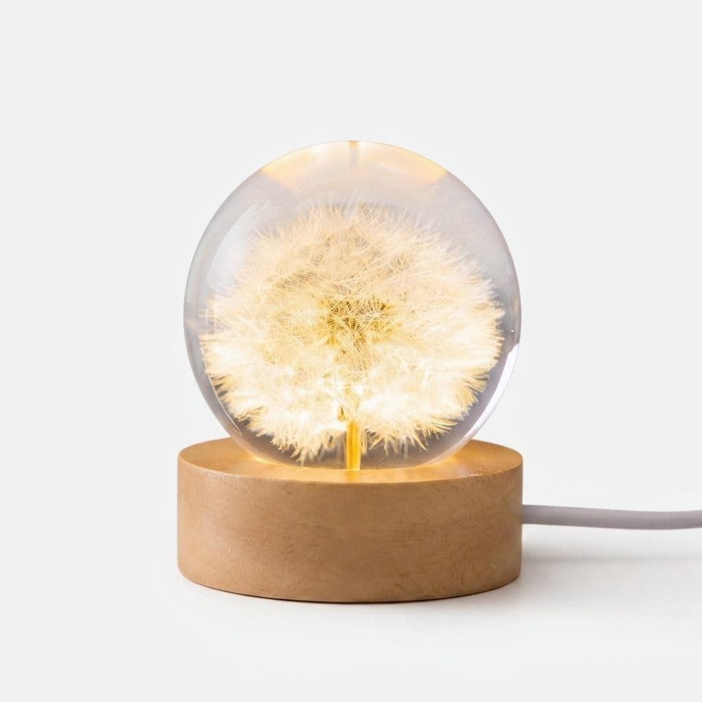 Studio collection image