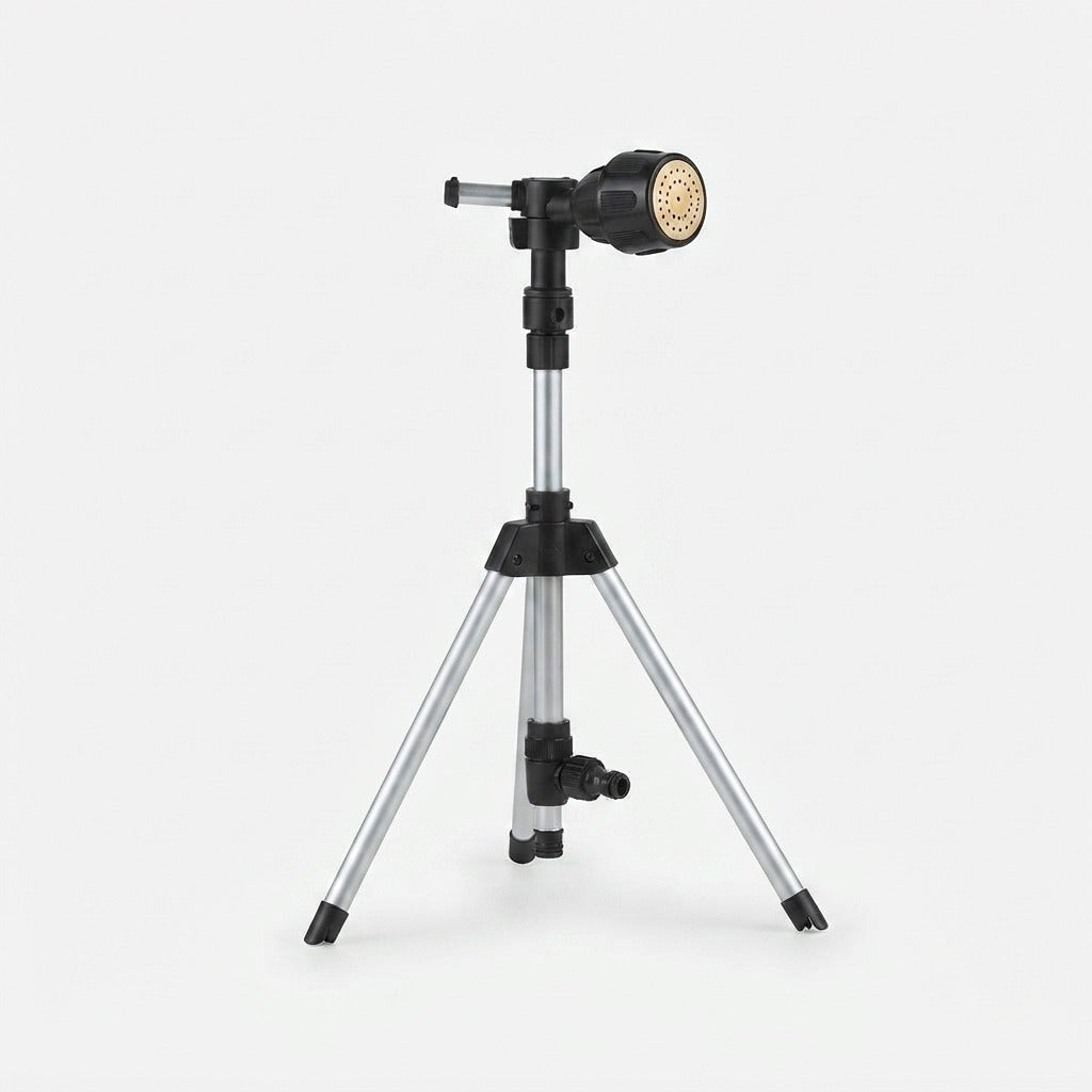 Studio collection image