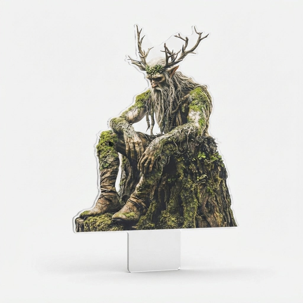 Studio collection image