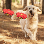 Dog Toy Flying Disc with Ball Shape