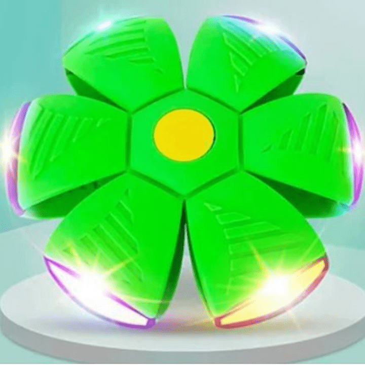 Dog Toy Flying Disc with Ball Shape