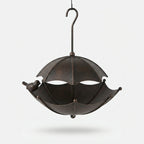 Studio collection image
