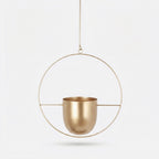 Studio collection image
