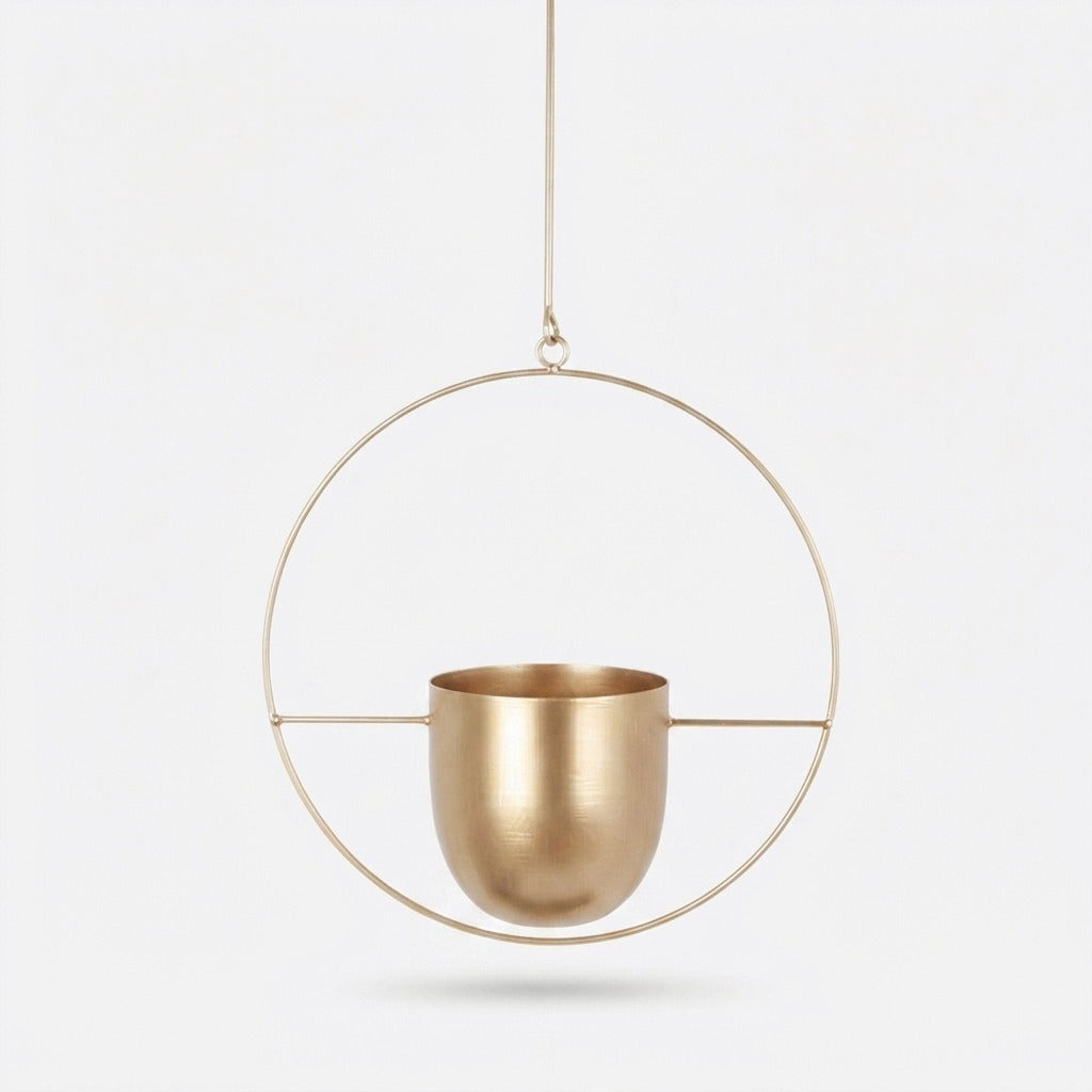 Studio collection image