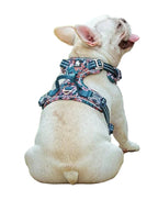 Dog harness with adjustable straps – Breathable & comfortable