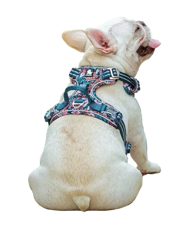 Dog harness with adjustable straps – Breathable & comfortable