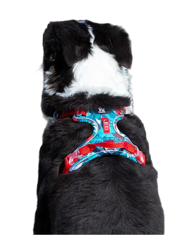 Dog harness with adjustable straps – Breathable & comfortable