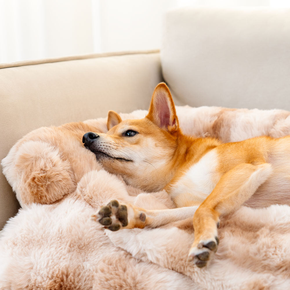Hundebett Plüsch mit Antislip-Unterseite