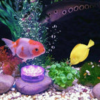 LED Pool-Beleuchtung wasserdicht mit Fernbedienung