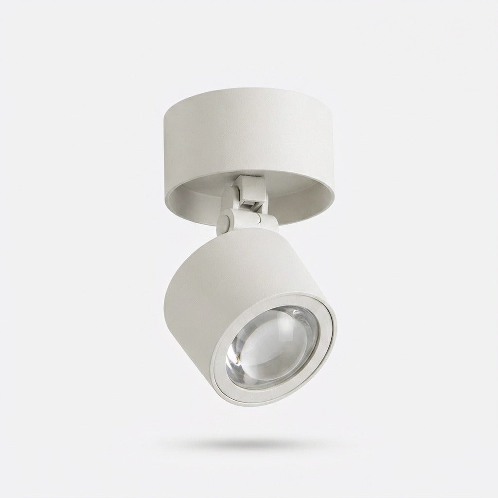 Studio collection image