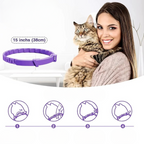 Natürliches Floh- & Zeckenhalsband Hund & Katze – 8 Monate Schutz, wasserdicht
