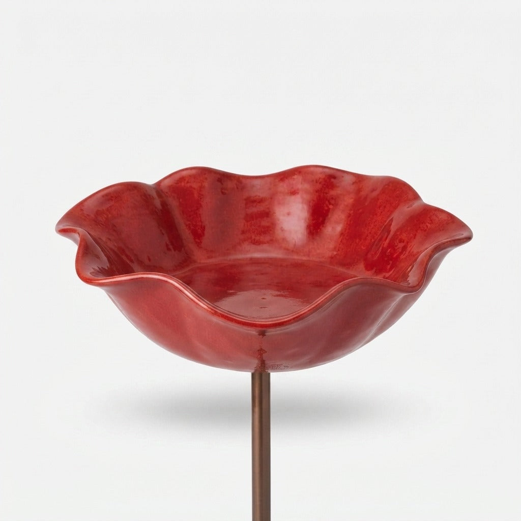 Studio collection image