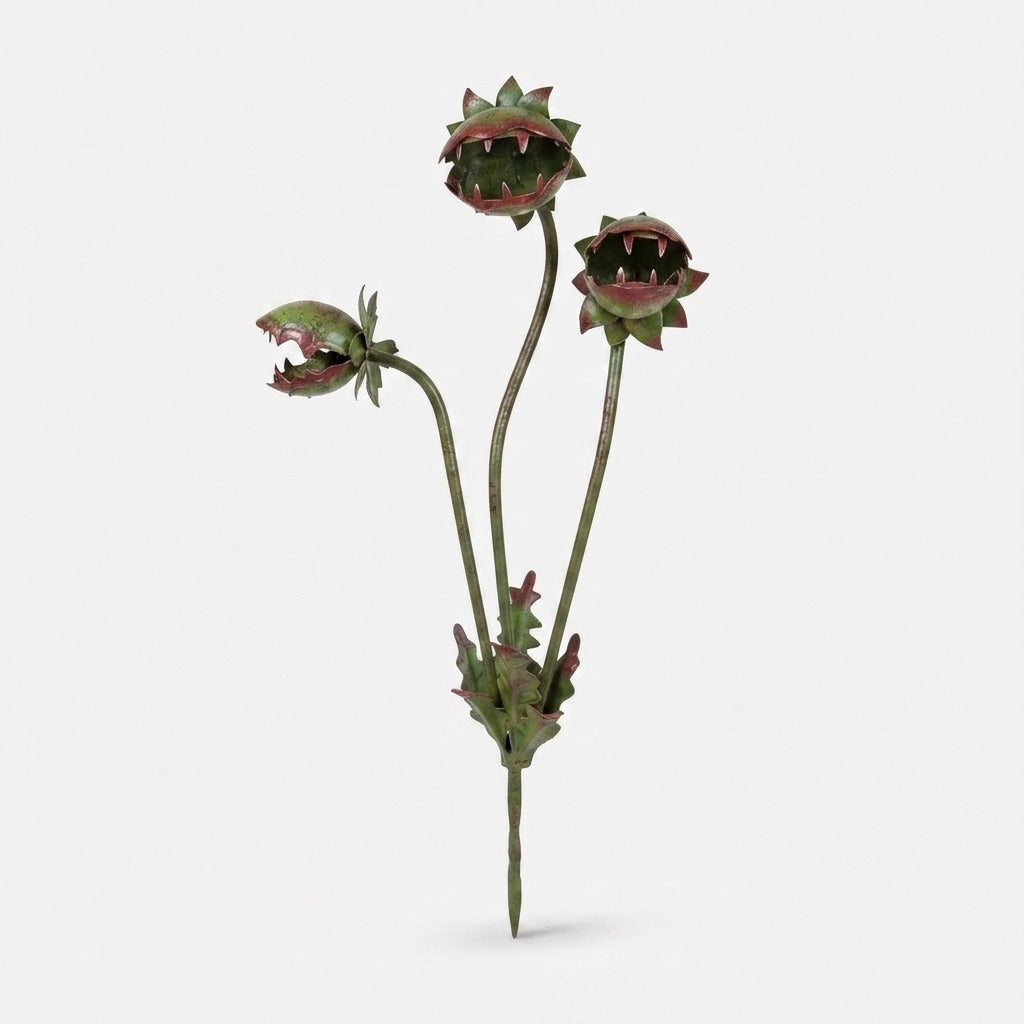 Studio collection image