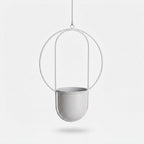 Studio collection image