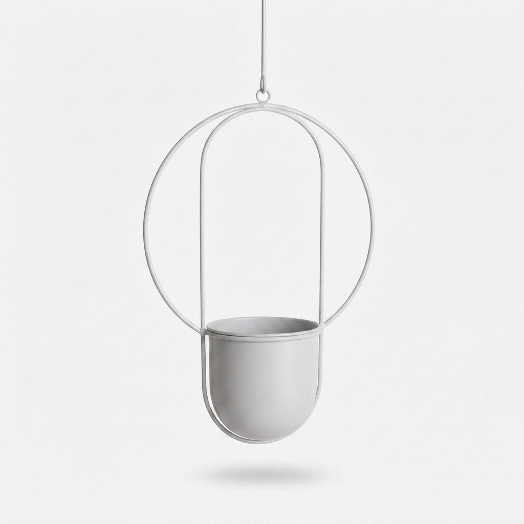 Studio collection image