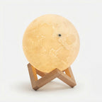 Studio collection image