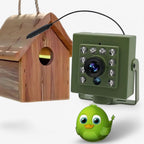 Vogelkamera HD mit Nachtsicht und Bewegungssensor