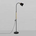 Stehlampe mit verstellbarem Lampenkopf und Bogenstab