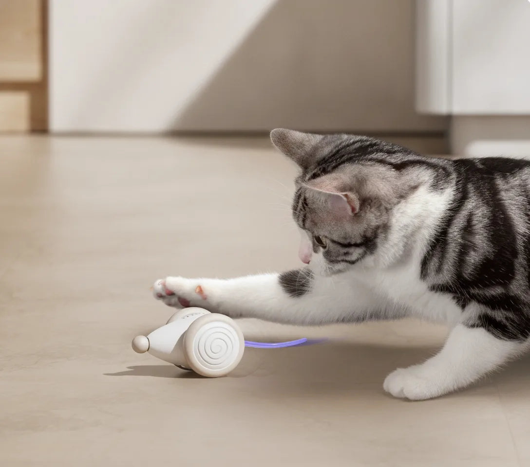 Interaktives Katzenspielzeug mit Laserstrahl und Hinderniserkennung