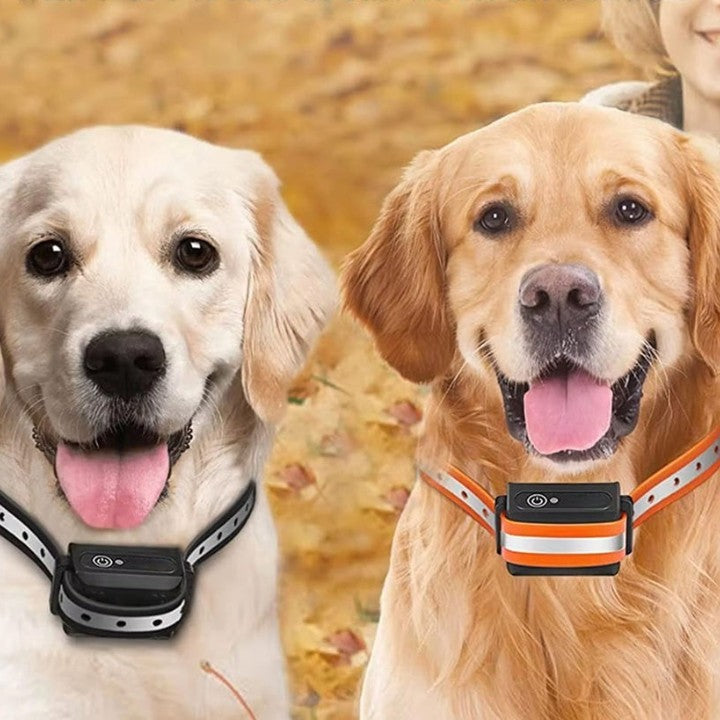 Dog collar with remote control up to 1000m - Finally relaxed walks